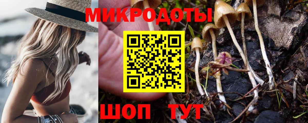 Псилоцибиновые грибы Cubensis  Галлюциногенные грибы прущие грибы  Вход с VPN  Тимашёвск 