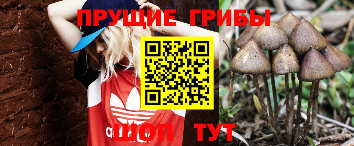 Галлюциногенные грибы GOLDEN TEACHER Тимашёвск