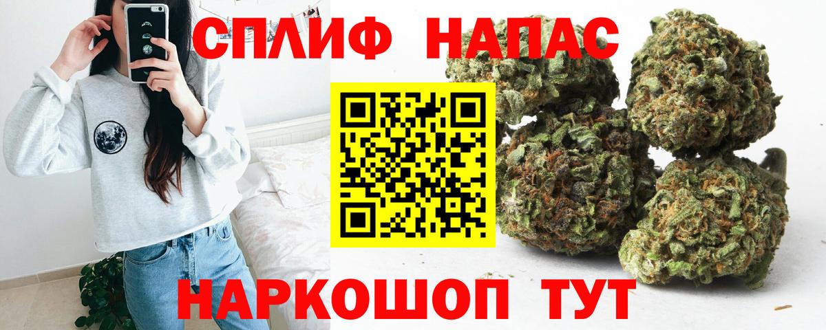 Бошки Шишки сатива  Канабис семена  Тимашёвск  Канабис конопля  Вход с VPN 